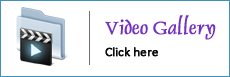 Video Gallery